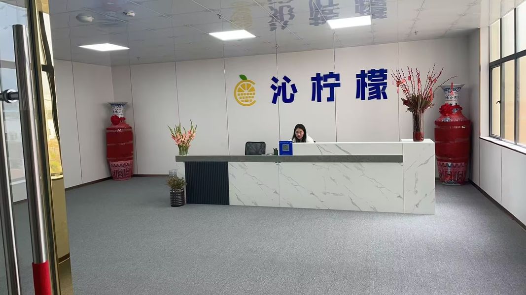 Chine Yichun Qinningmeng Electronics Co., Ltd. Profil de la société